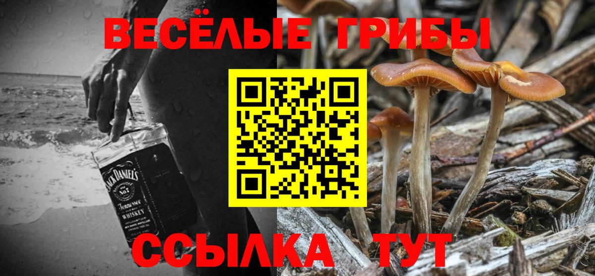 Галлюциногенные грибы Psilocybine cubensis Назарово